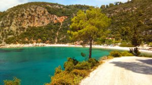 Limnonari Beach Skopelos - Platon Kiriazidis