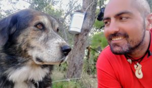 Hund und ich - blog - Platon Kiriazidis